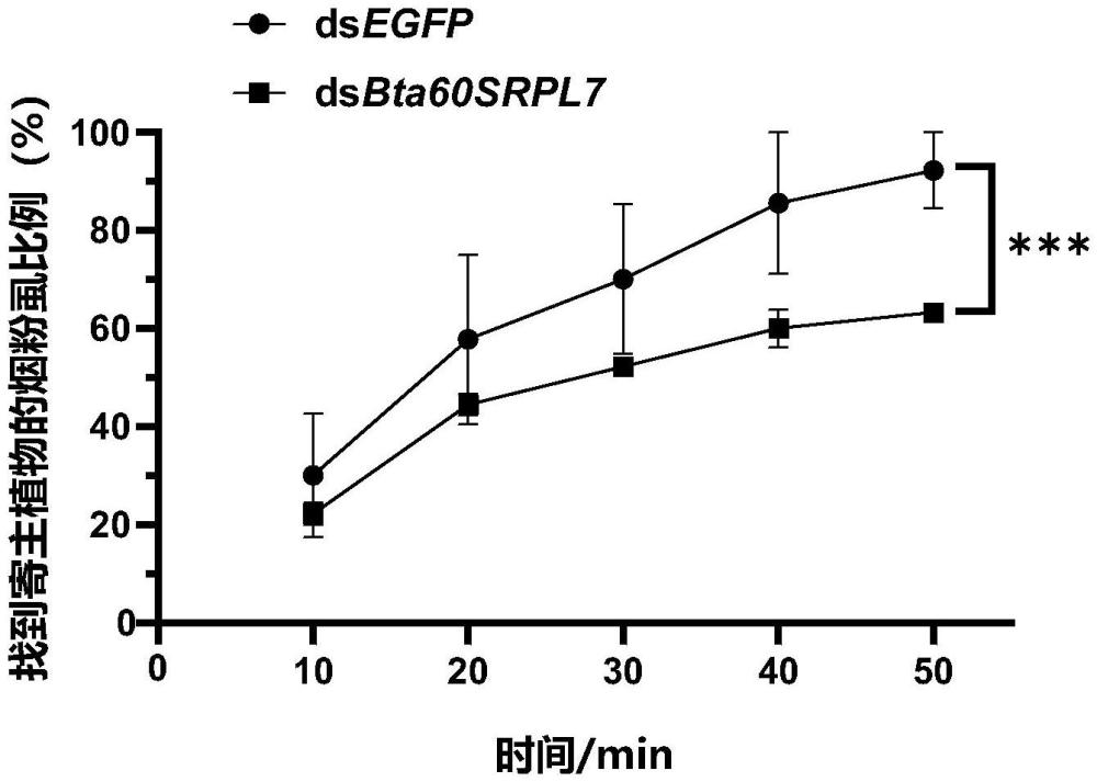 Bta60SRPL7基因在烟粉虱防治中的应用、防治烟粉虱的试剂及防治方法