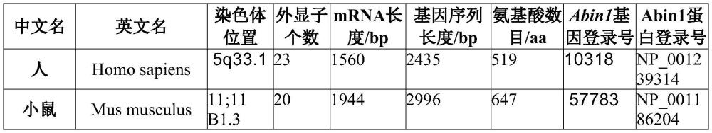 一种骨髓异常增生综合症小鼠模型及其构建方法和应用