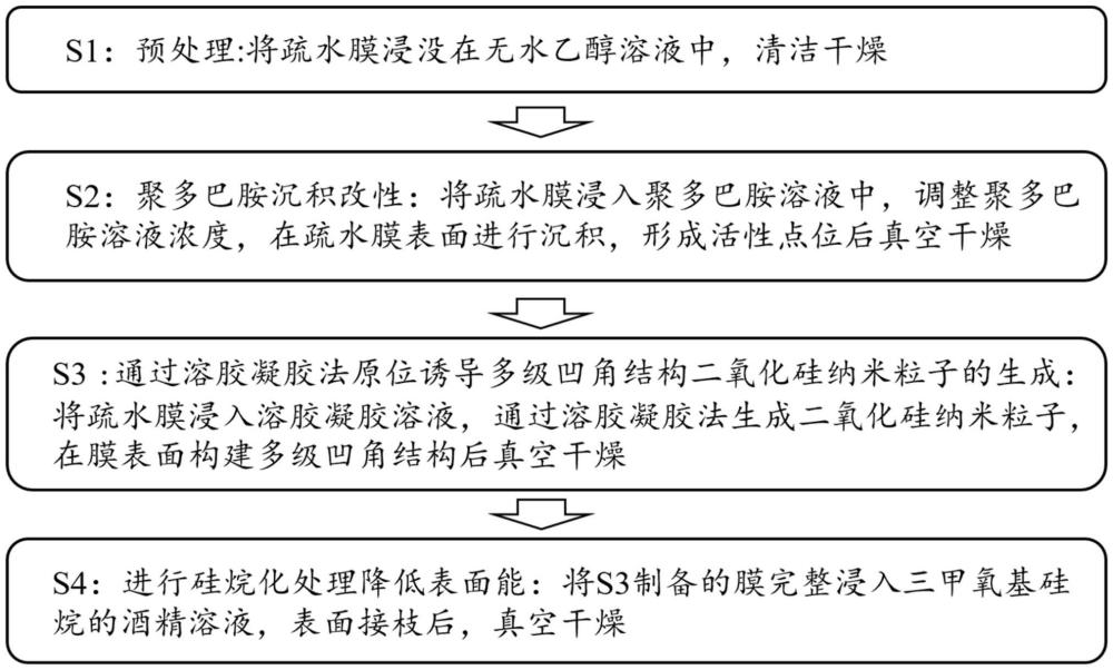 一种疏水膜的双疏改性方法