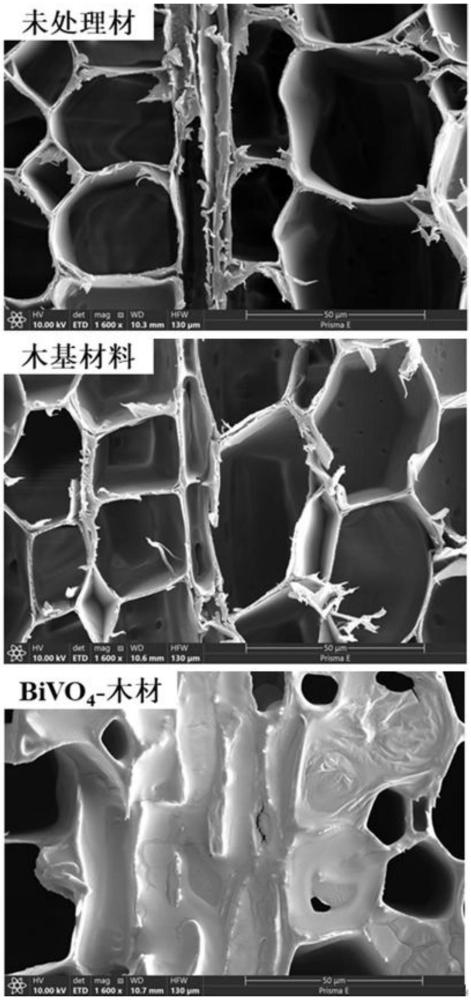 一种BiVO4-木材光催化剂的制备方法及其应用