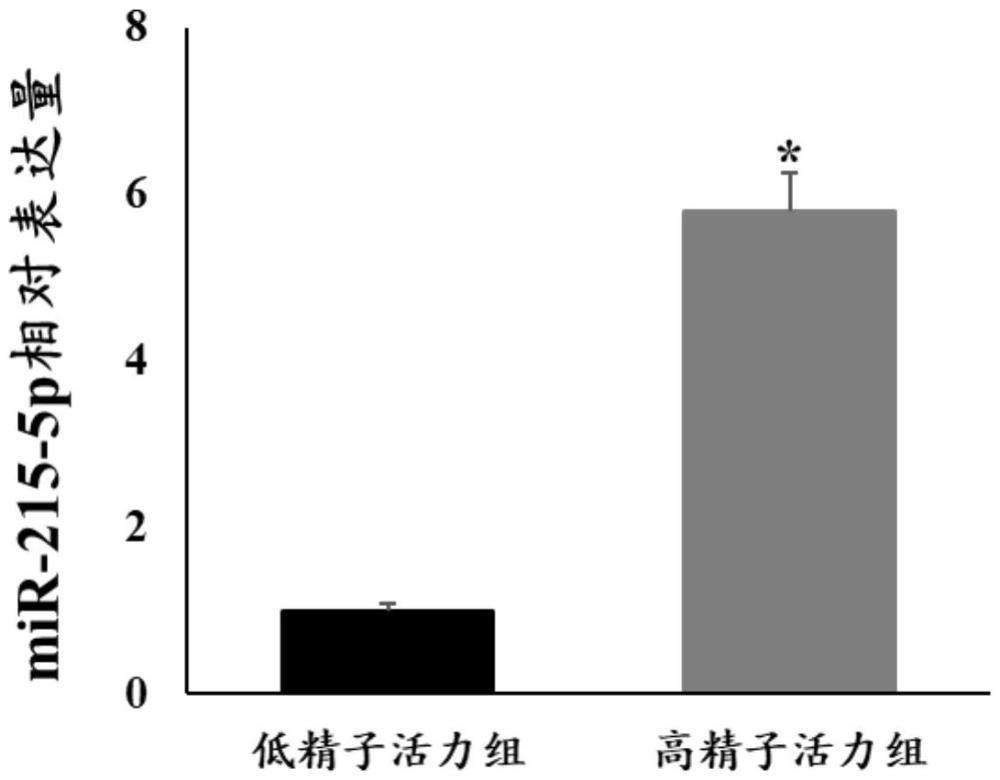 一种与鹦鹉精子活力和受精率相关的miRNA及其应用