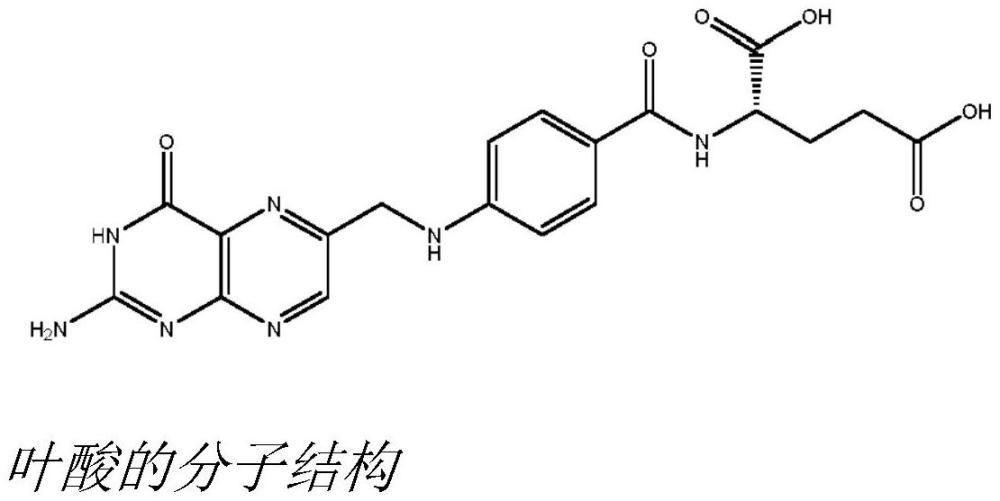 抗叶酸剂接头-药物和抗体-药物缀合物的制作方法