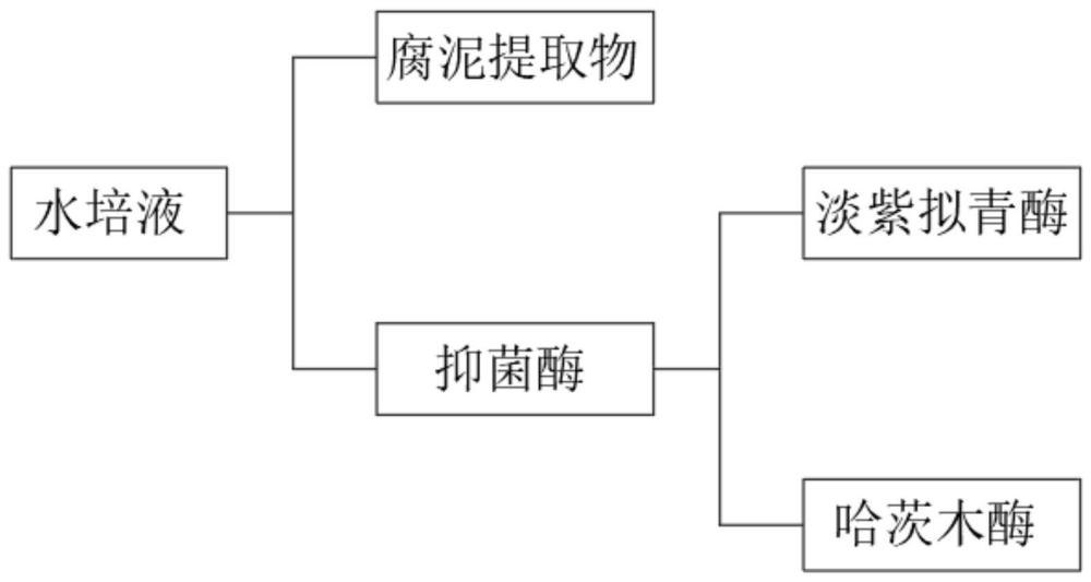 一种绿植种植用的微生物浓缩水培液及其使用方法与流程