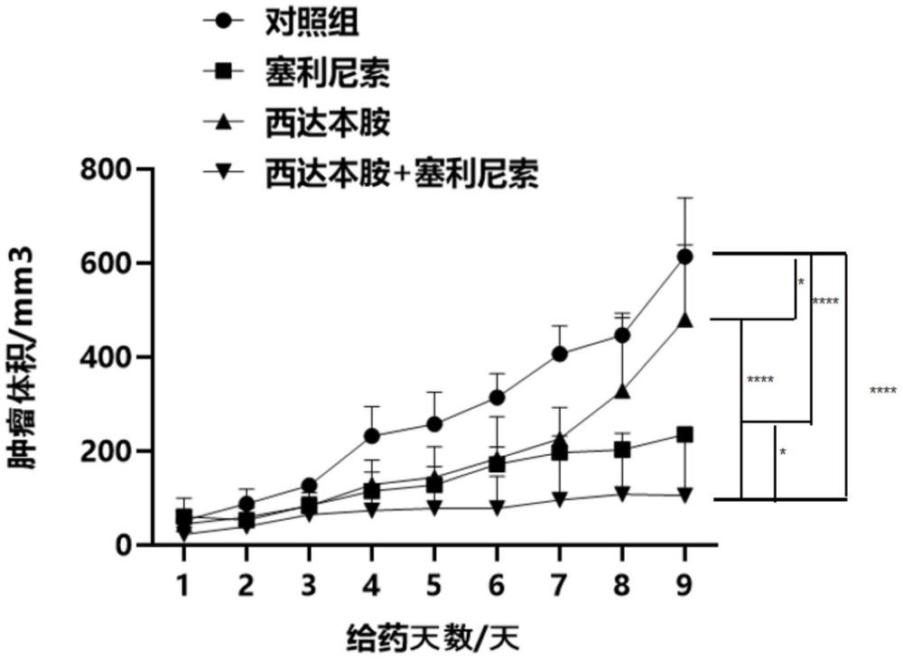 一种预防或治疗TP53突变双打击淋巴瘤的联合用药物组合物及其应用