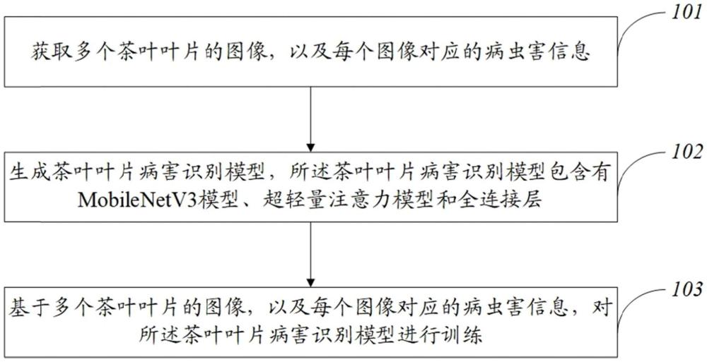 茶叶病害识别模型的创建方法、装置、设备及存储介质