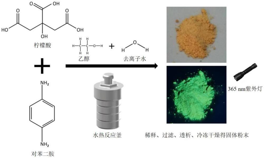 具有荧光效应的碳点介电弹性体的制备方法及介电弹性体薄膜致动器