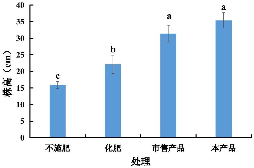 一种利用EM菌发酵银杏叶制备的液体生物菌肥及其制备方法和应用与流程