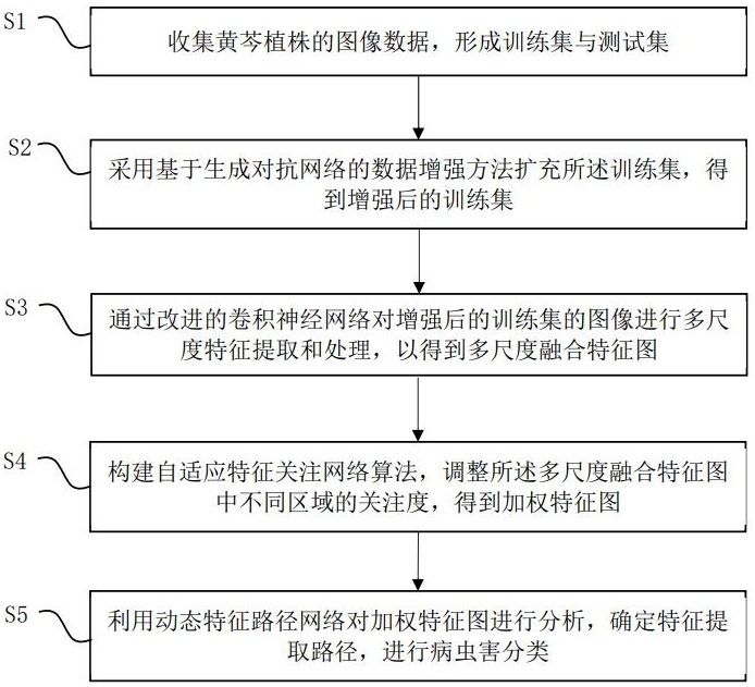 一种黄芩病虫害识别系统及方法