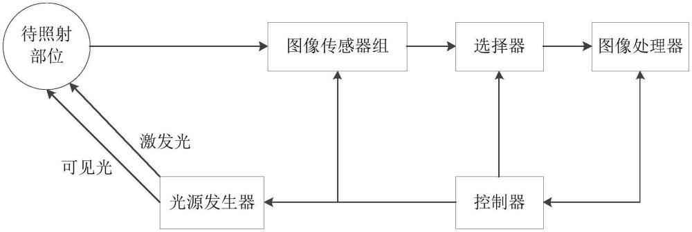 荧光内窥镜系统及内窥镜成像方法与流程