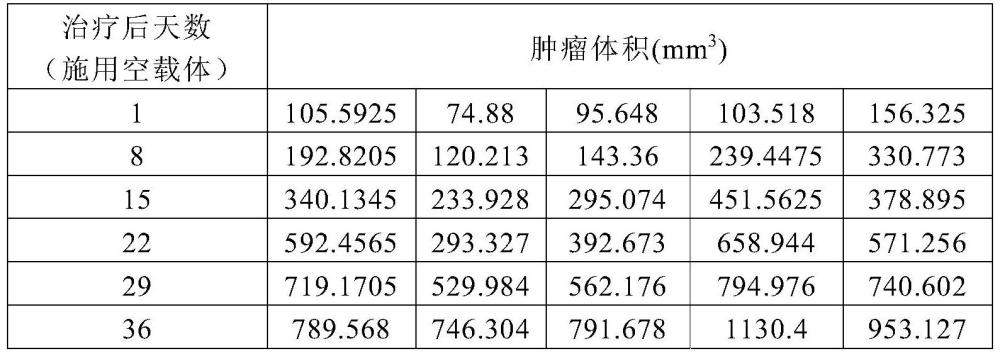 DNA损伤药物联合化疗