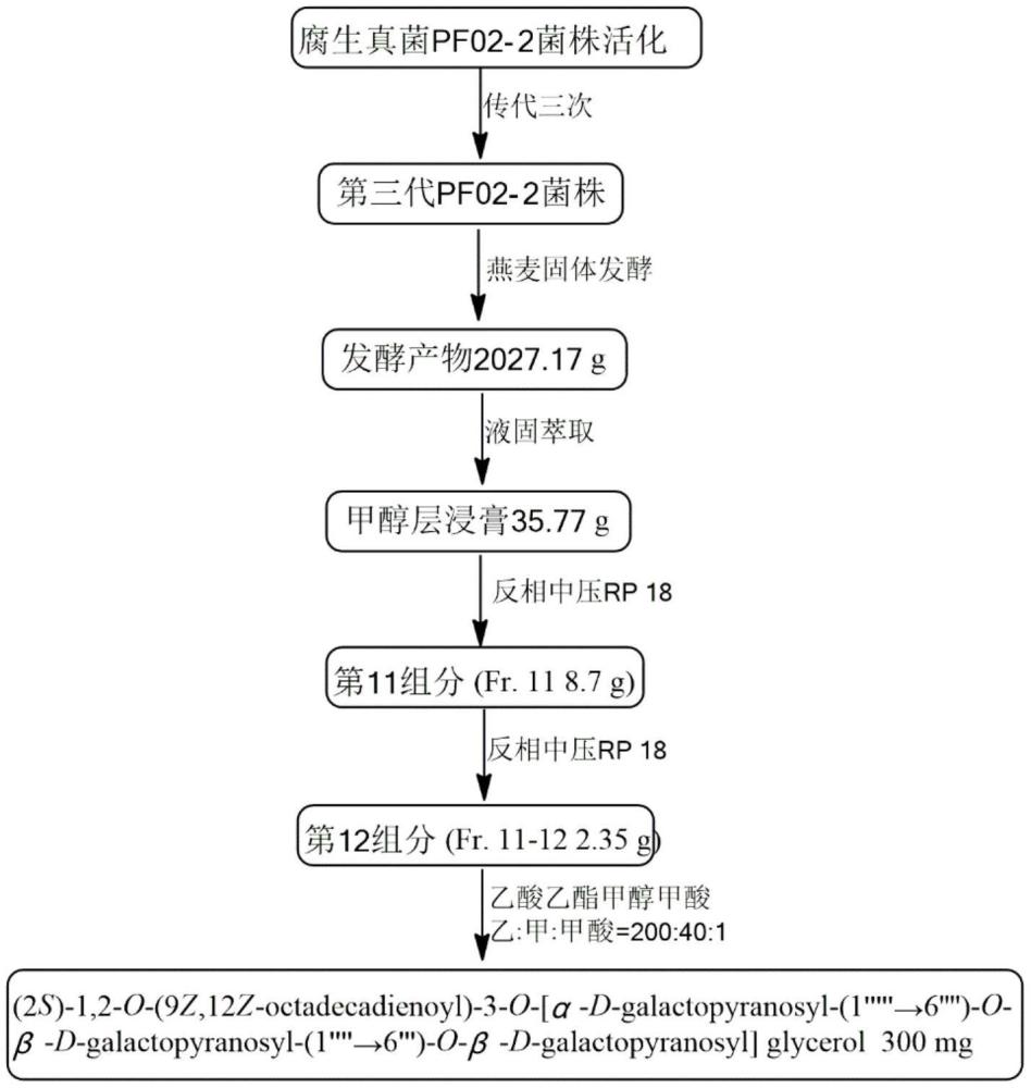 一种甘油糖脂类化合物PF26的制备方法及应用