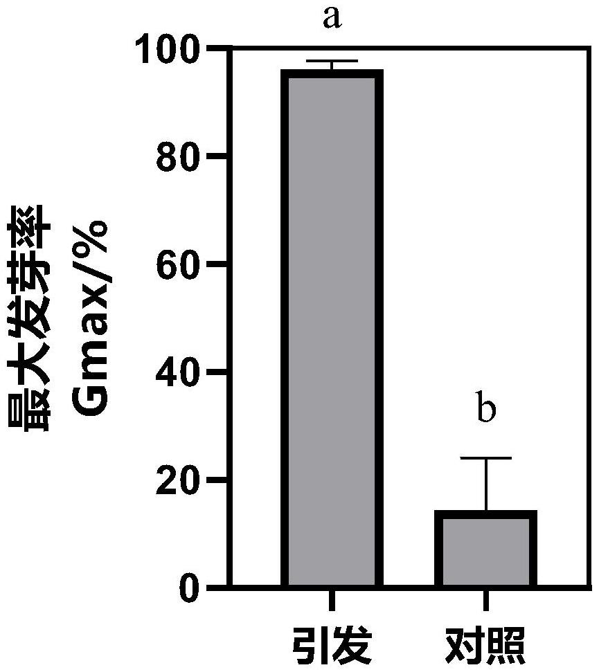 一种破除十字花科蔬菜种子休眠的引发方法与流程