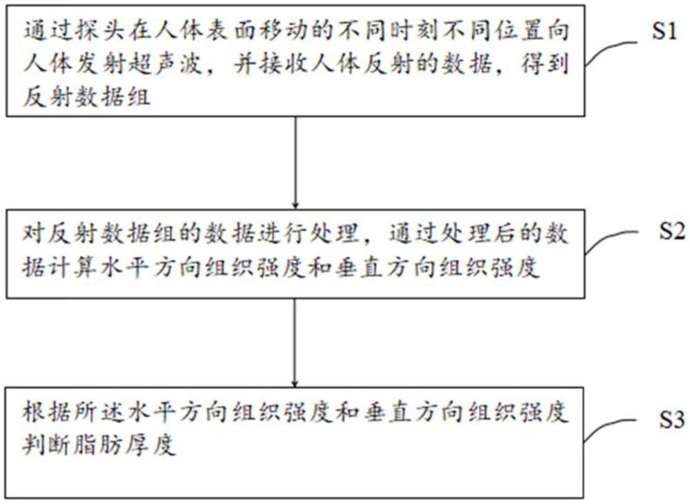 一种脂肪厚度和肌肉厚度测量方法及装置与流程