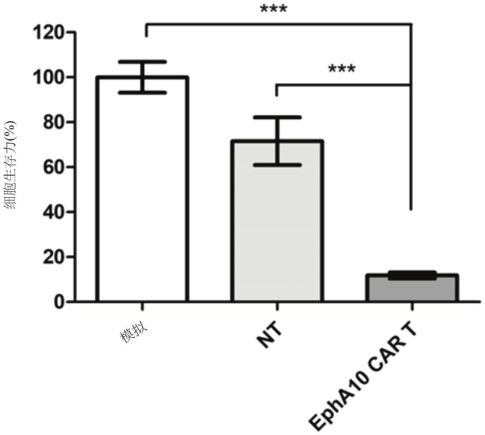 EPHRINA型受体10特异性抗体、表现其之嵌合抗原受体T细胞及其应用的制作方法