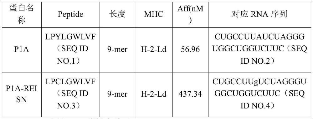 一种抗原表位在制备治疗肿瘤的产品中的应用