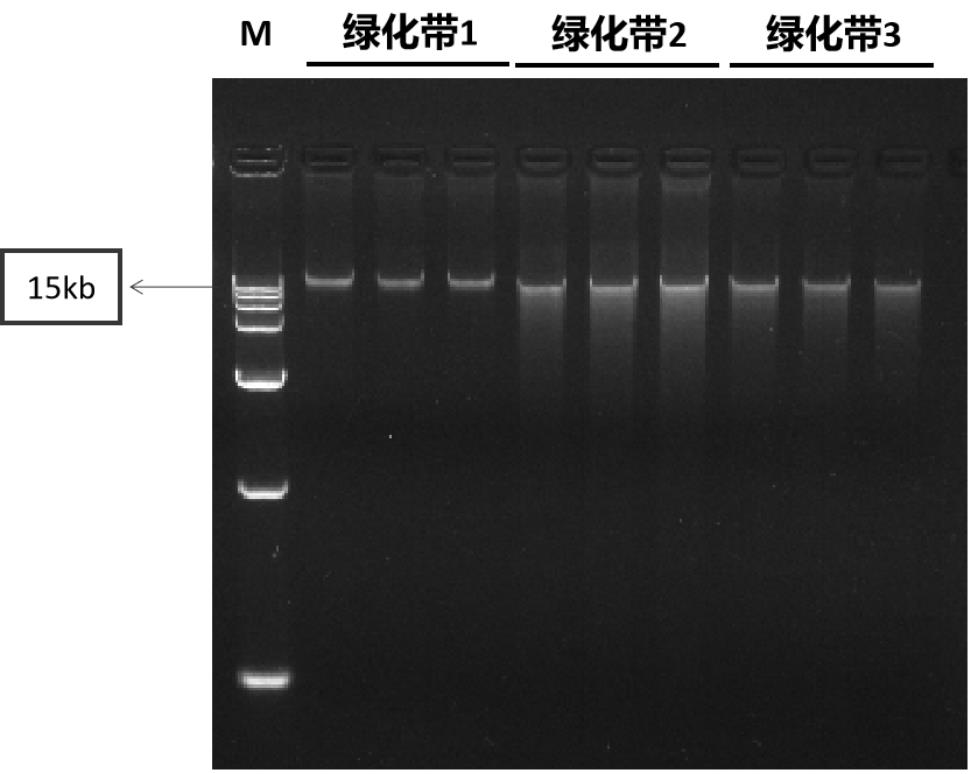 一种土壤微生物DNA提取试剂盒及提取方法和应用与流程