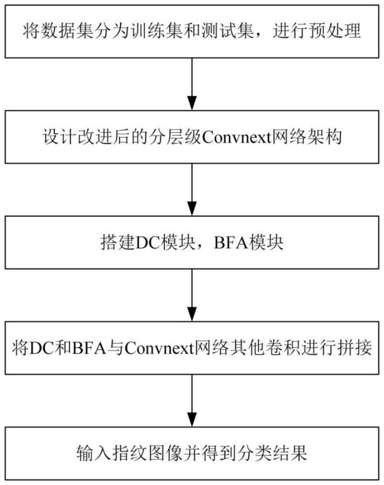 一种基于改进Convnext网络的指纹活性检测方法