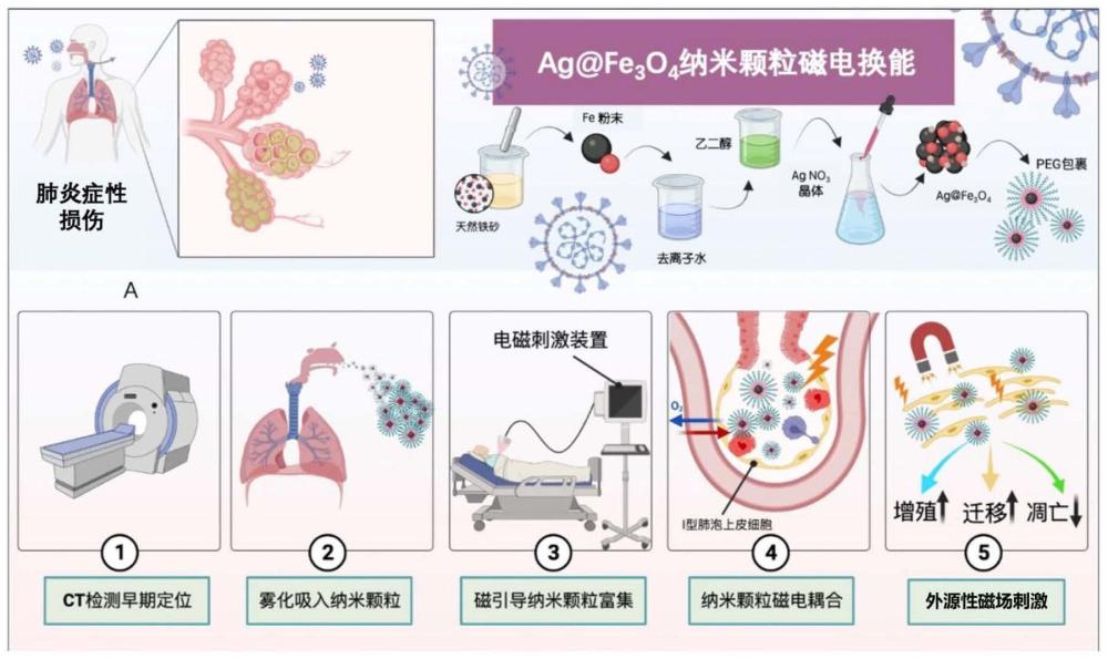 一种基于磁性纳米材料的肺损伤磁电调控修复系统