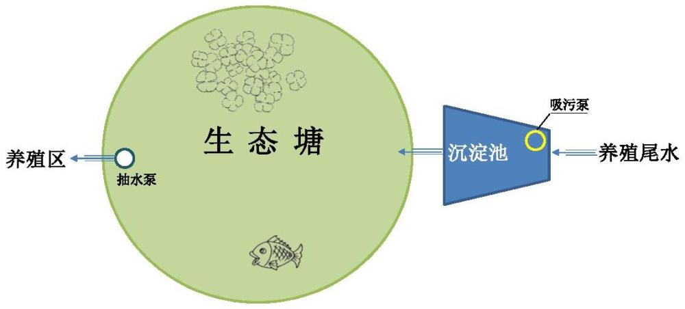 淡水水产养殖尾水生态处理与综合利用的方法