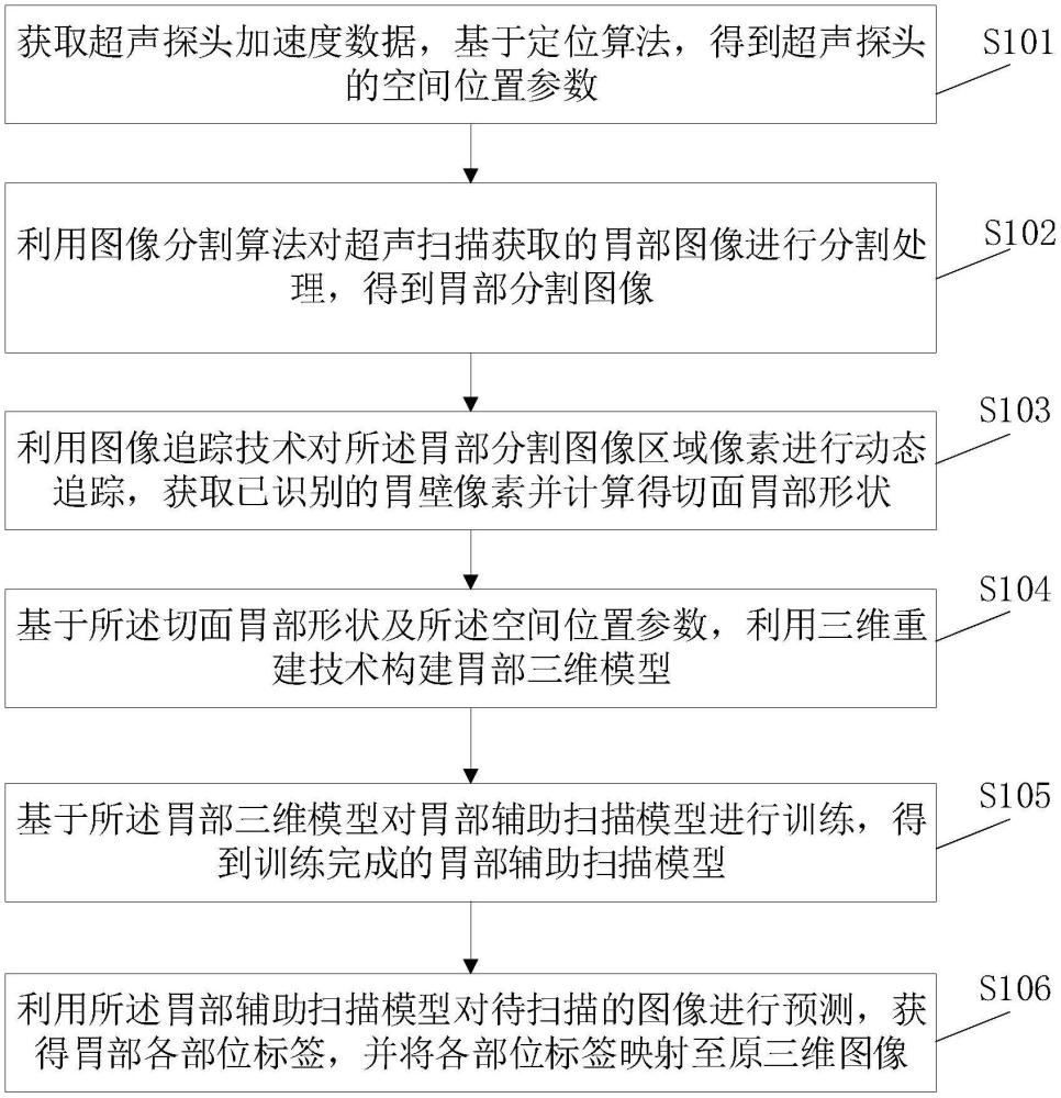 一种胃部超声图像辅助扫描方法、装置及电子设备