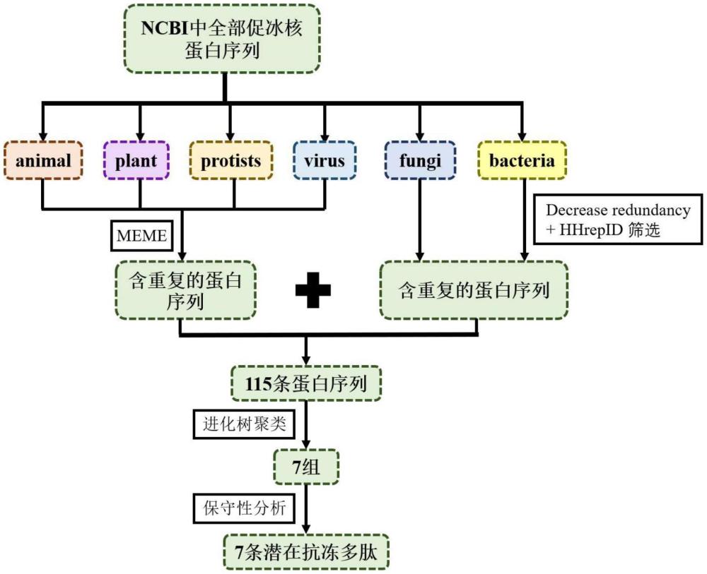 一种用于细胞冻存的抗冻多肽及其应用