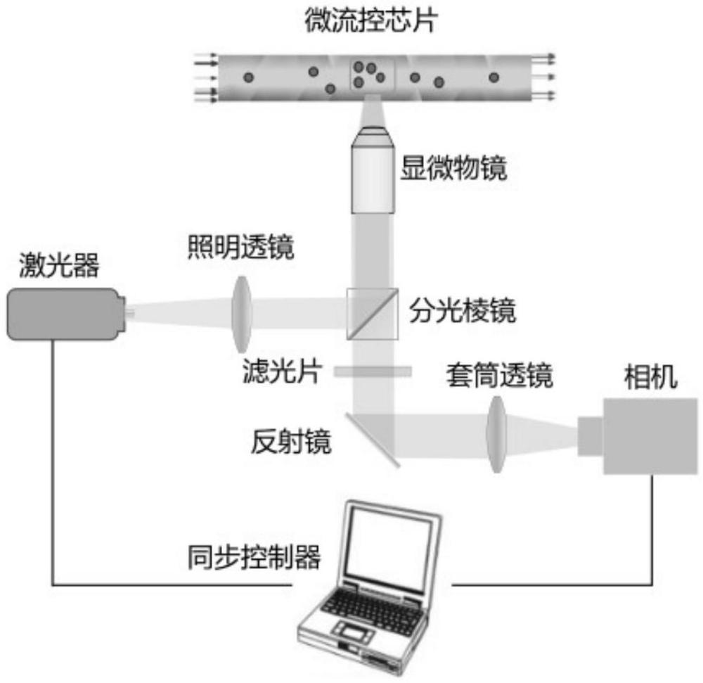 基于计算成像的单目三维微尺度粒子图像测速方法及系统