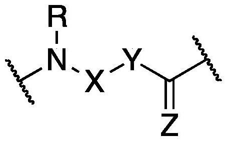 基于氨氧基酸的抗菌化合物及其方法