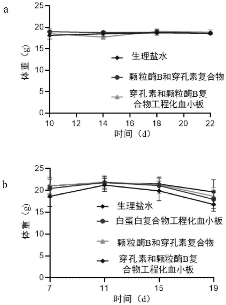 一种蛋白纳米复合物、含其的靶向递送系统及其应用