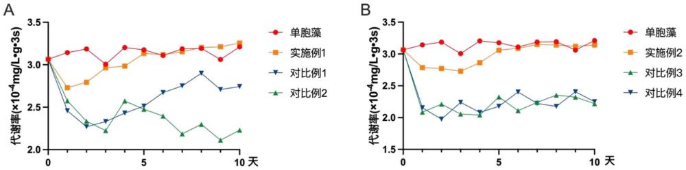 一种牡蛎工厂化促肥方法与应用