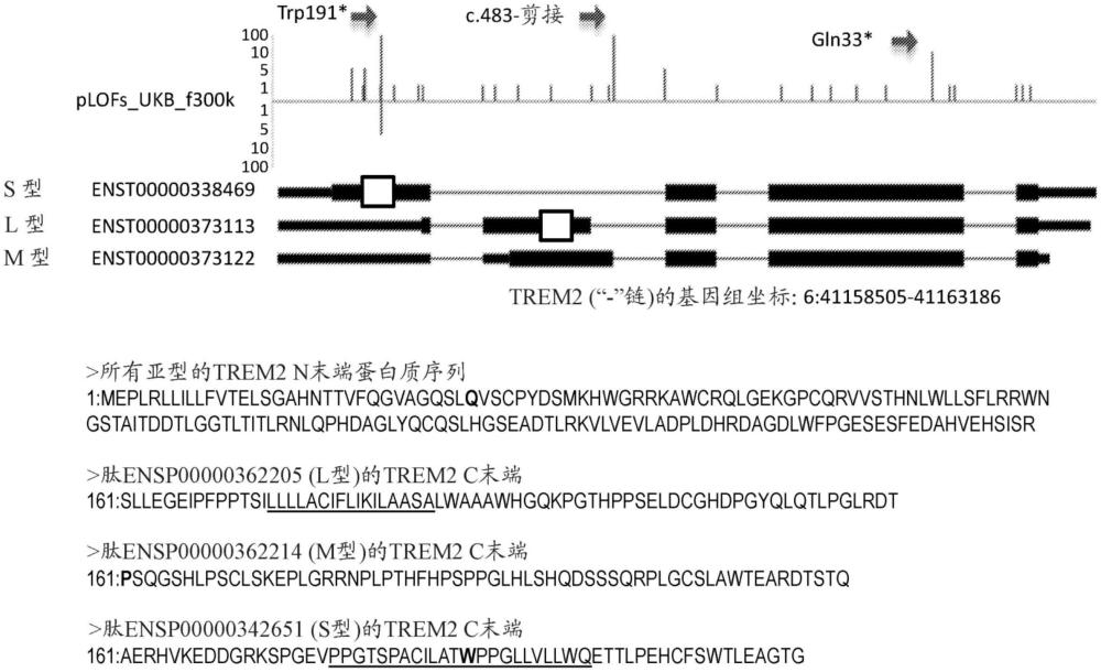 骨髓细胞上表达的触发受体2(TREM2)变体以及其在治疗阿尔茨海默病中的用途的制作方法