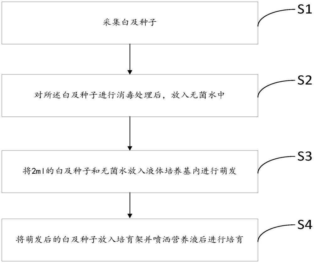 一种白及种子萌发快速繁殖方法与流程