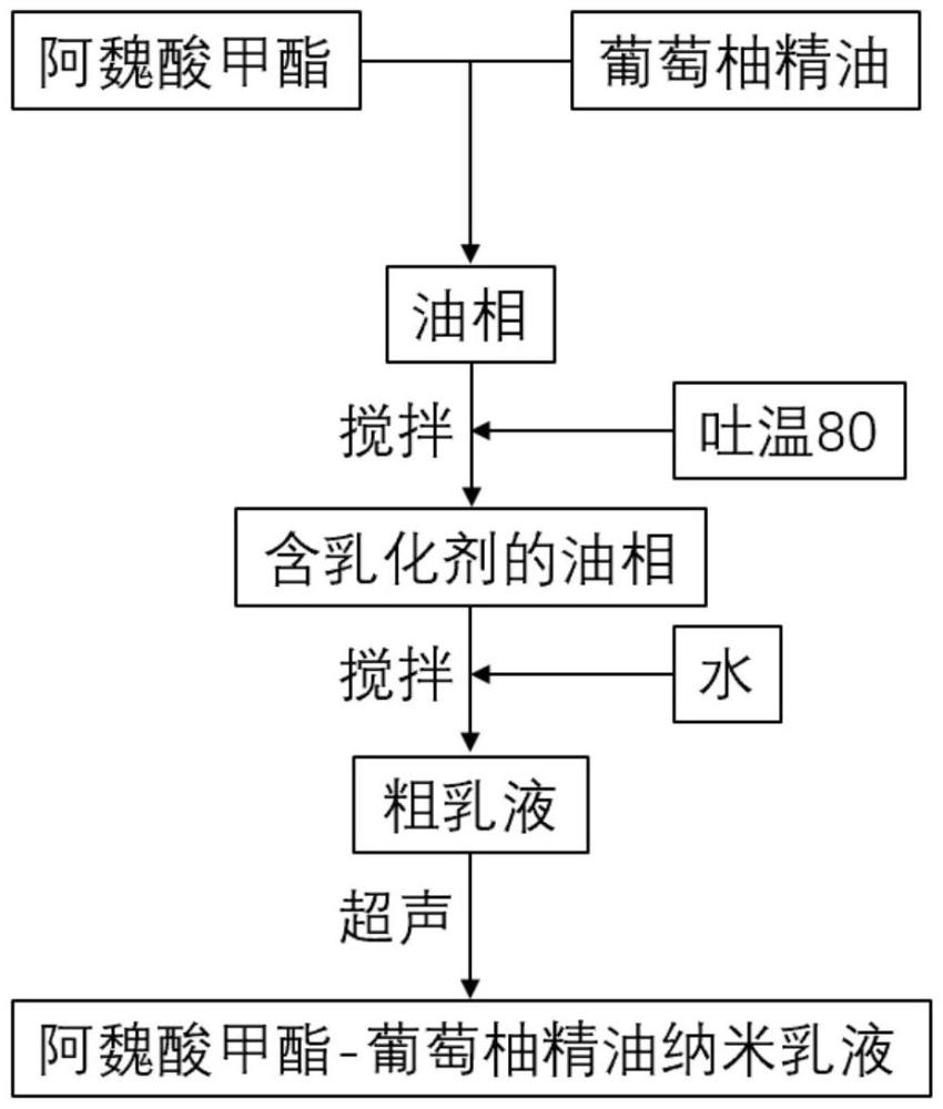 阿魏酸甲酯-葡萄柚精油纳米乳液及其制备方法和应用