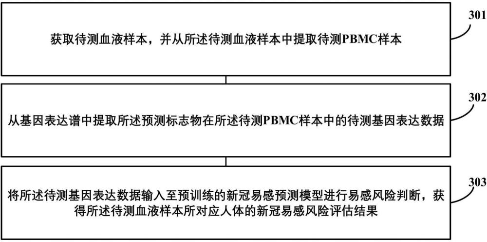 用于新冠病毒易感性的预测标志物以及预测方法、装置