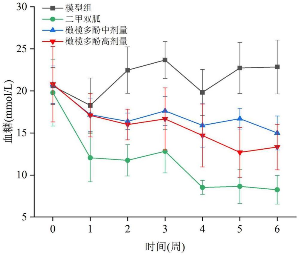 一种具有降血糖活性的橄榄多酚及其提取方法与应用