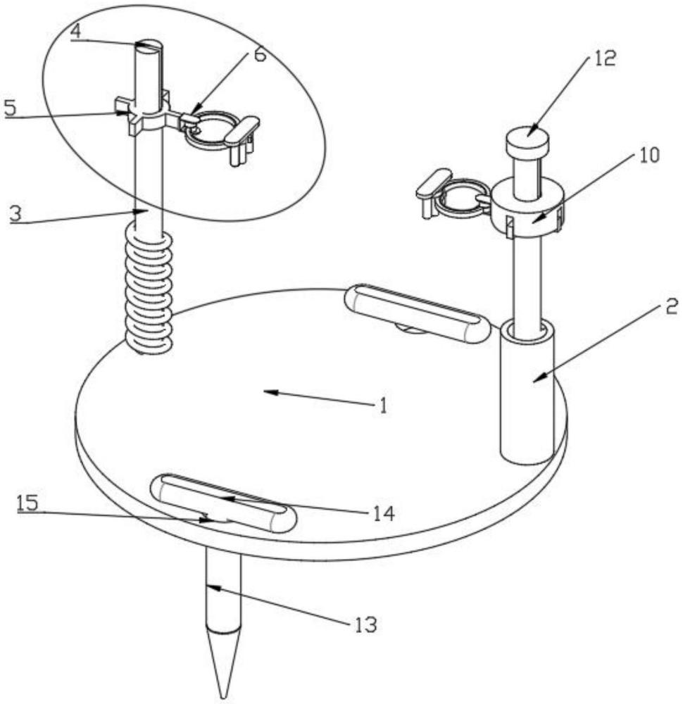 一种家禽检测用腿部固定器的制作方法