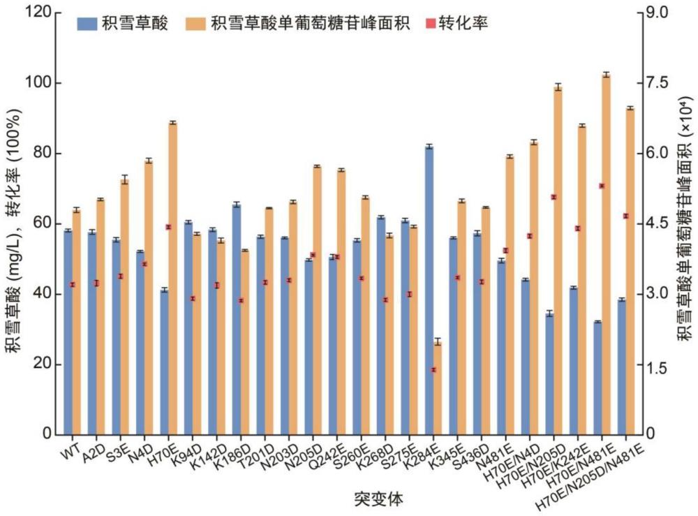 一种提高积雪草酸C28-O葡萄糖糖基化修饰的方法