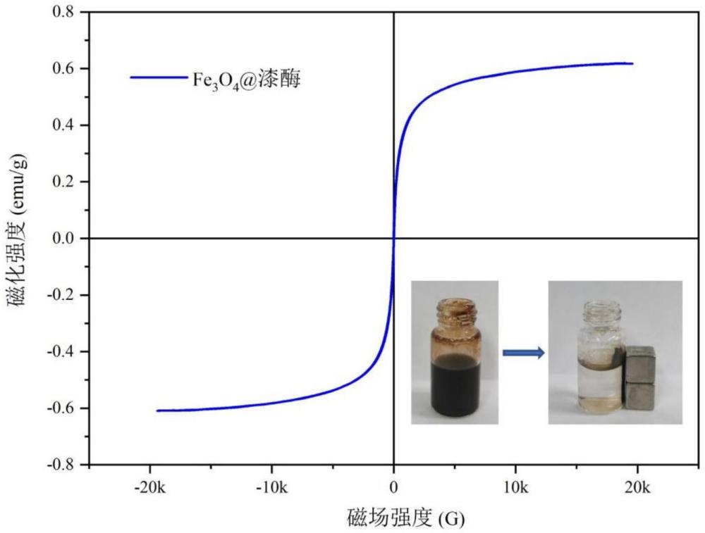 一种漆酶的磁性酶聚集体的制备方法