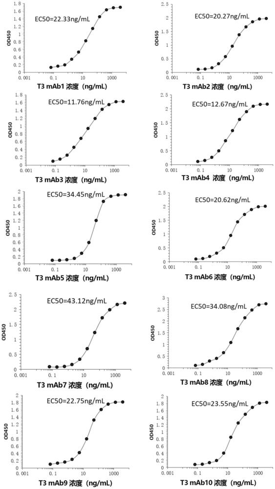 针对三碘甲状腺原氨酸的单克隆抗体、基于其的检测试剂及其应用的制作方法