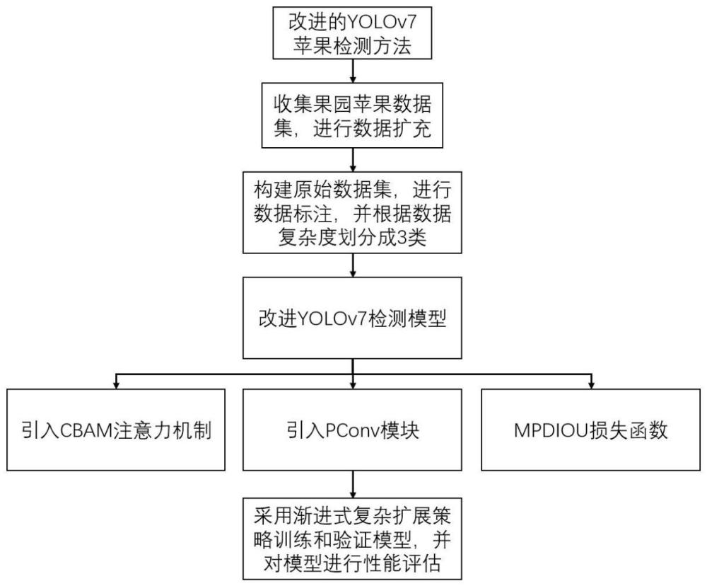 一种基于YOLOv7的果园苹果检测方法