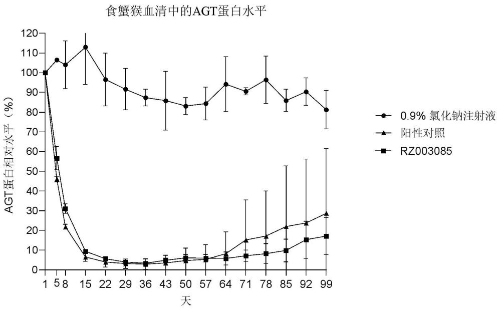 抑制AGT基因表达的双链寡核苷酸、其缀合物及用途的制作方法