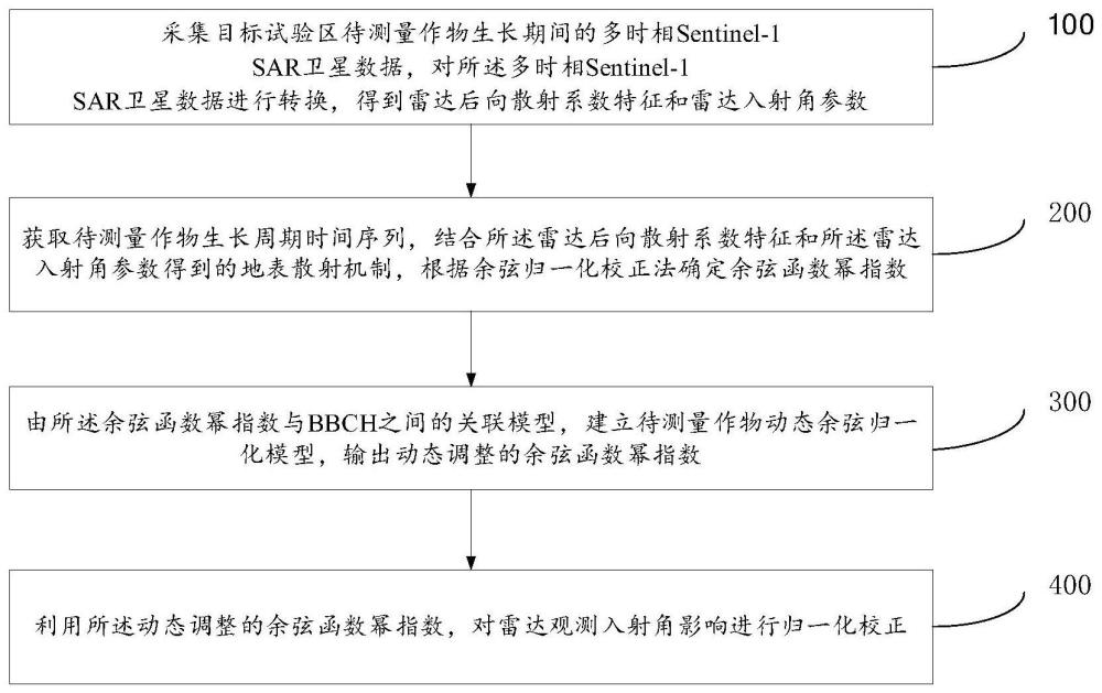 结合物候信息的雷达观测入射角影响动态校正方法及系统