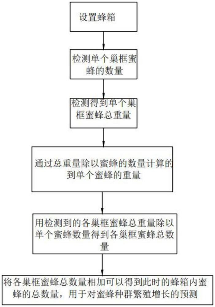 一种蜜蜂种群稳定与繁殖增长预测方法与流程