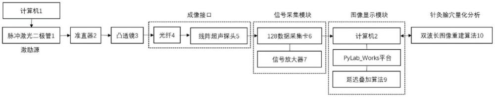 一种应用于腧穴针灸可视化的便携式光声成像装置及方法