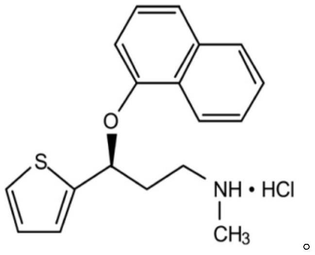 包含度洛西汀或其盐和辣椒素的局部组合物的制作方法