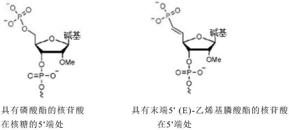 用于抑制细胞中MASP-2表达的核酸的制作方法