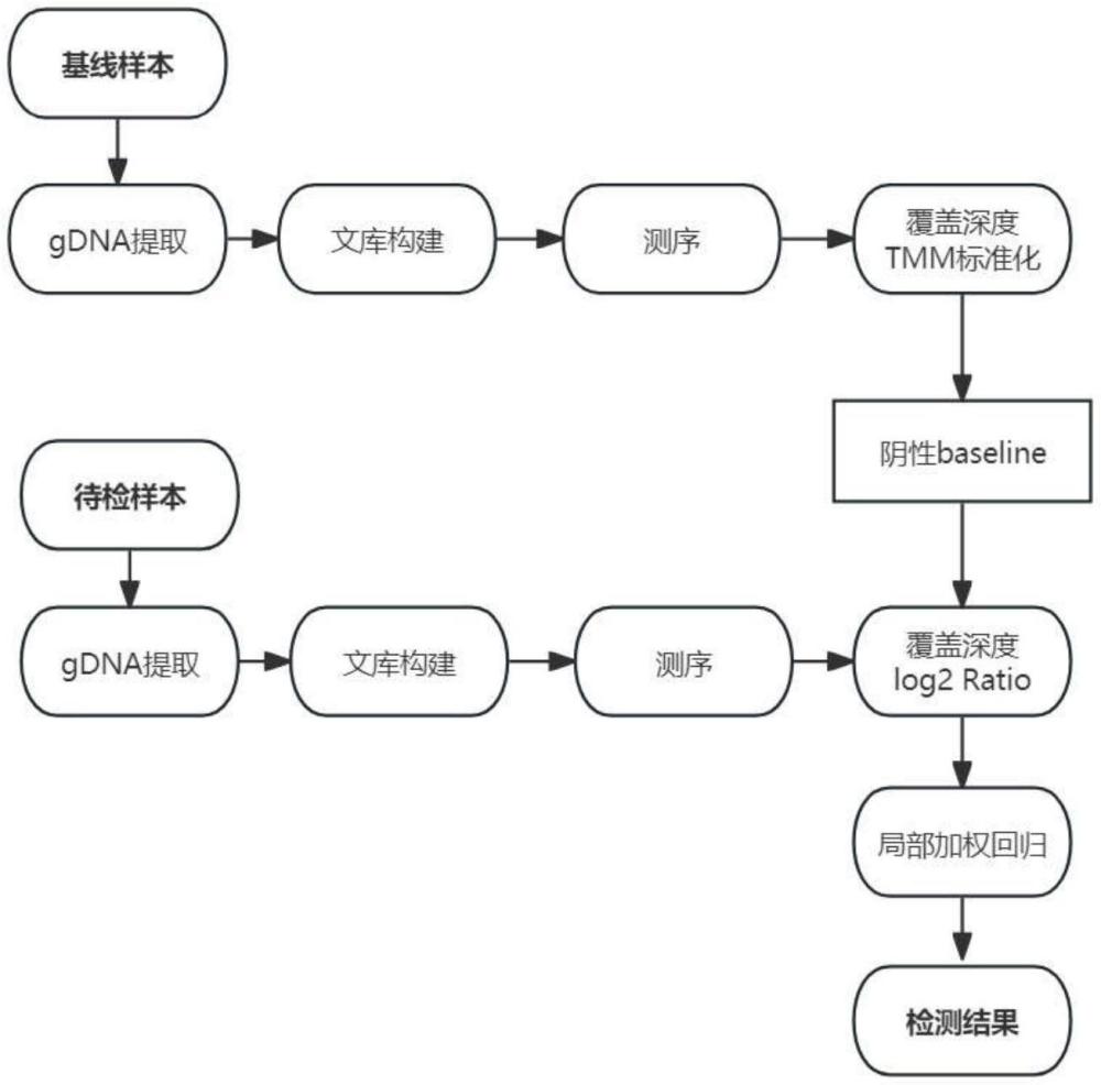 一种基于杂交捕获测序的缺失型α-地中海贫血基因类型的检测方法与流程