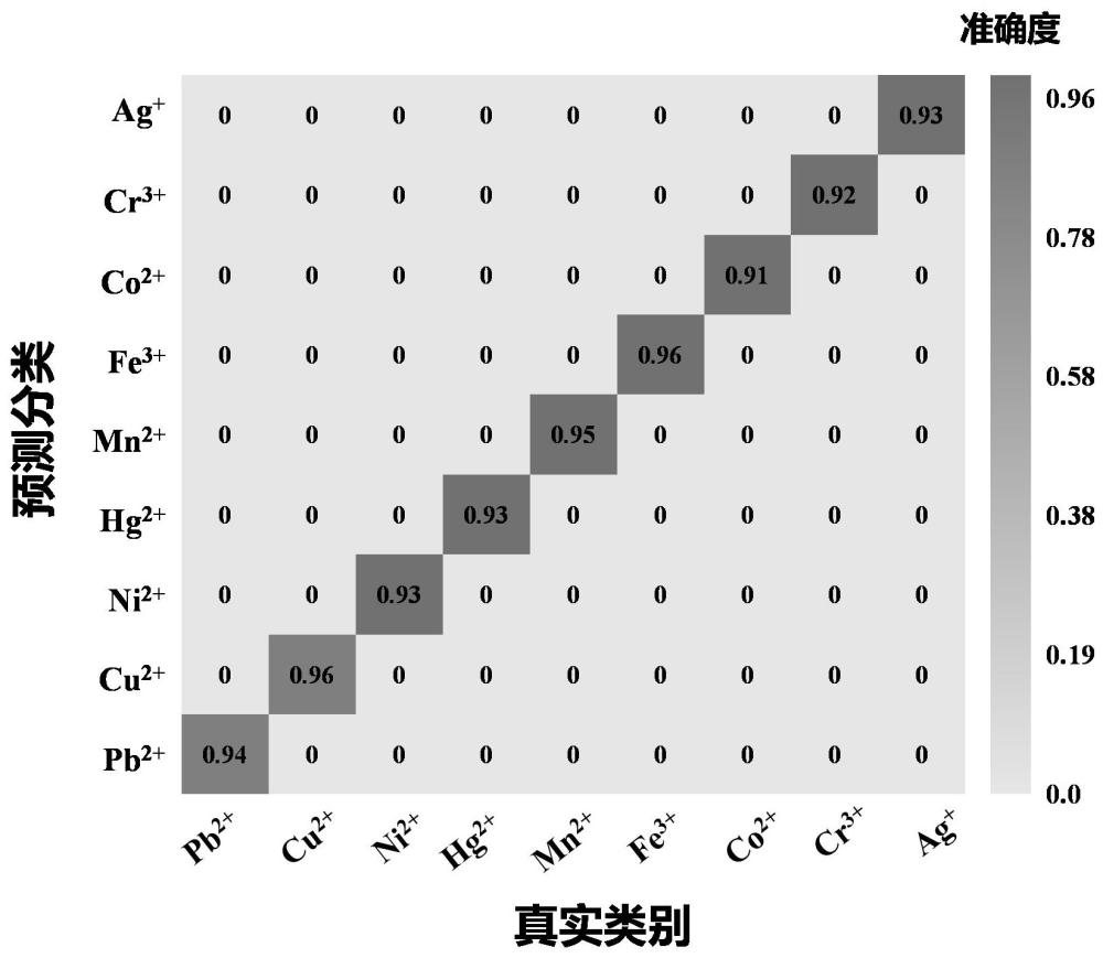 一种基于机器学习的罗丹明B修饰剑麻纤维碳量子点识别检测不同重金属离子种类和浓度的方法