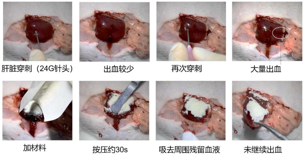 一种改性γ-聚谷氨酸止血凝胶材料及其制备方法和用途