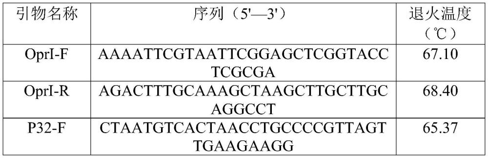 一种表达铜绿假单胞菌外膜蛋白I的重组乳酸乳球菌、质粒和疫苗及其应用