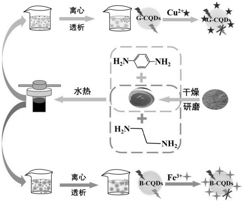 一种生物质衍生氮掺杂碳量子点、制备方法及在检测Cu2+和Fe3+中的应用